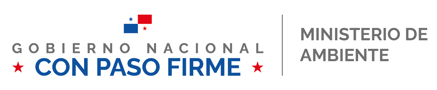 Logo Presentación